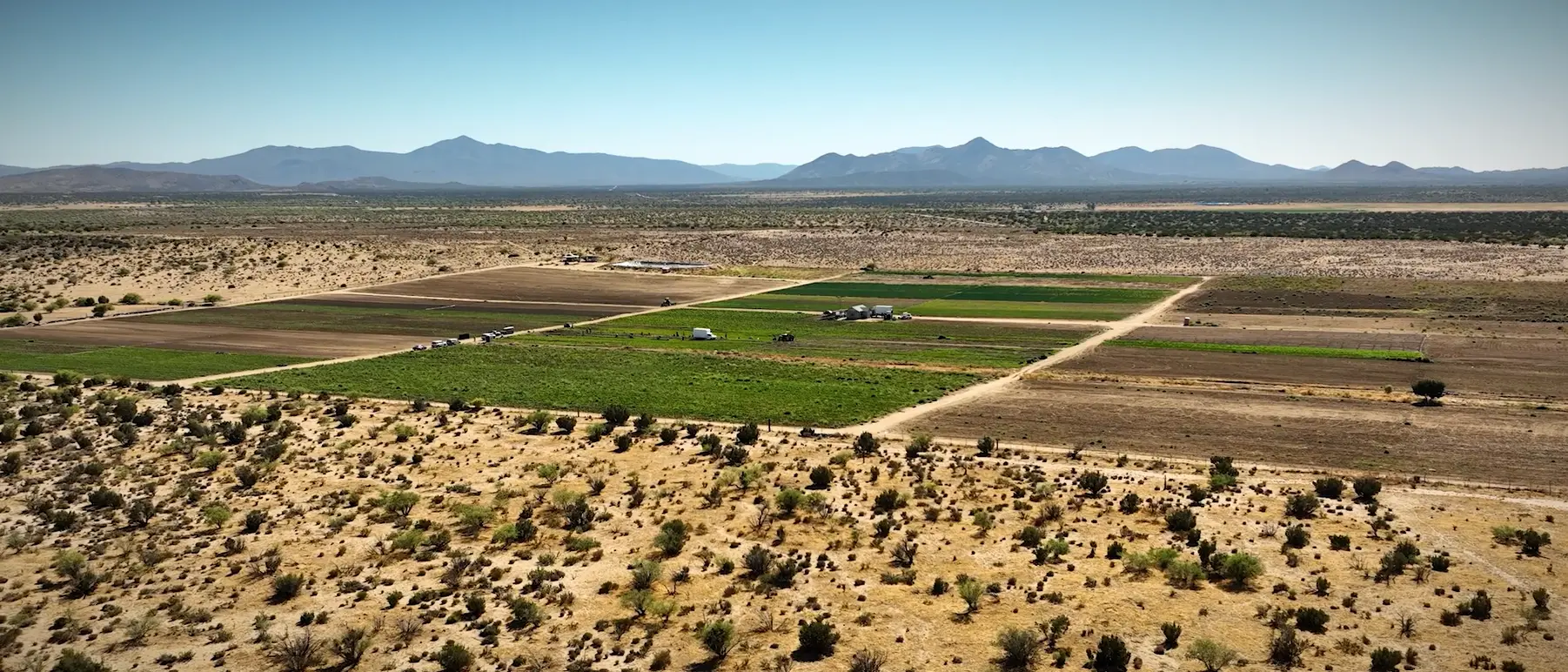 The valley