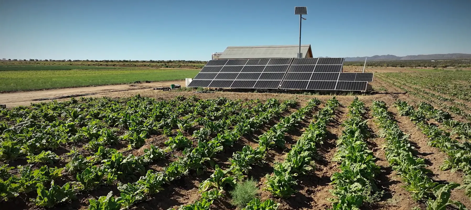 Solar array at the beet block