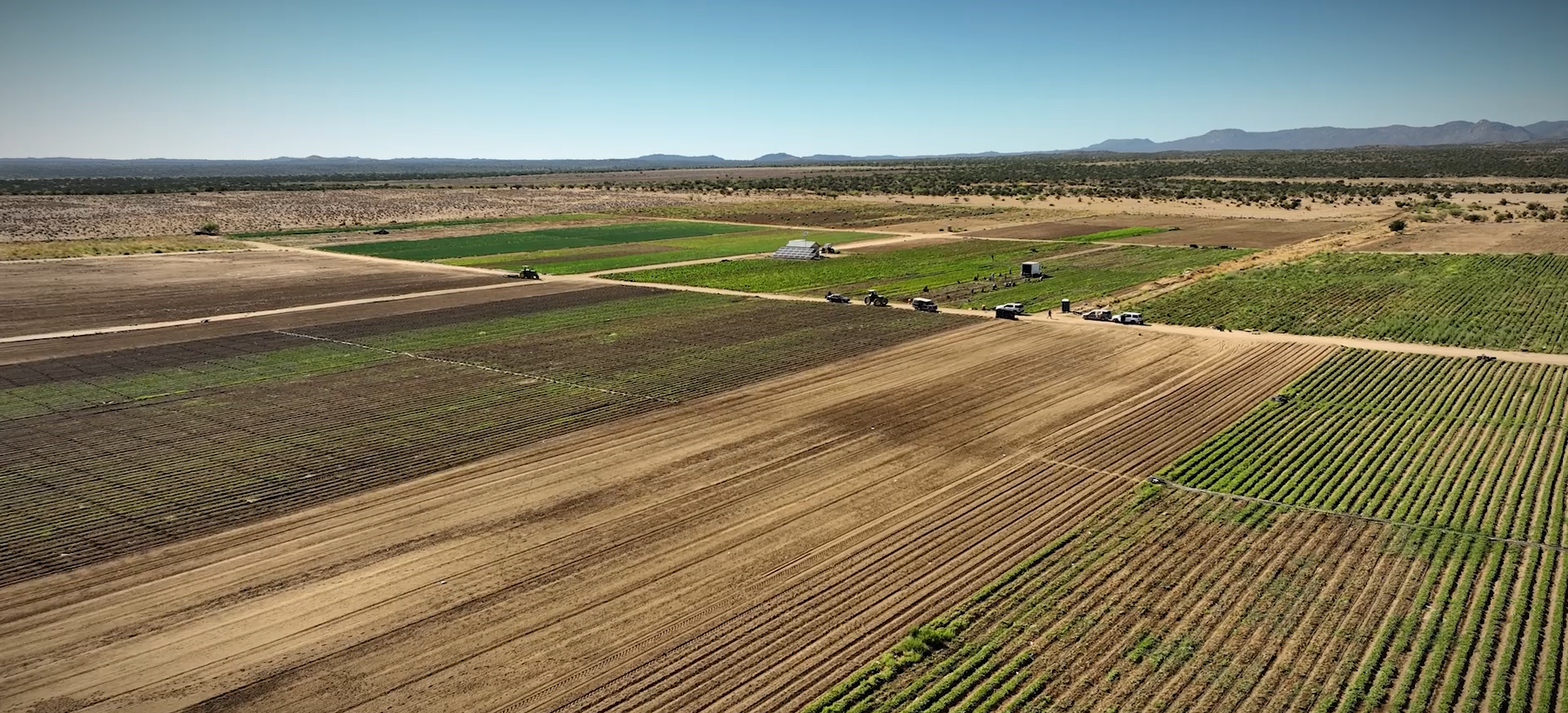 Harvest day, wide open