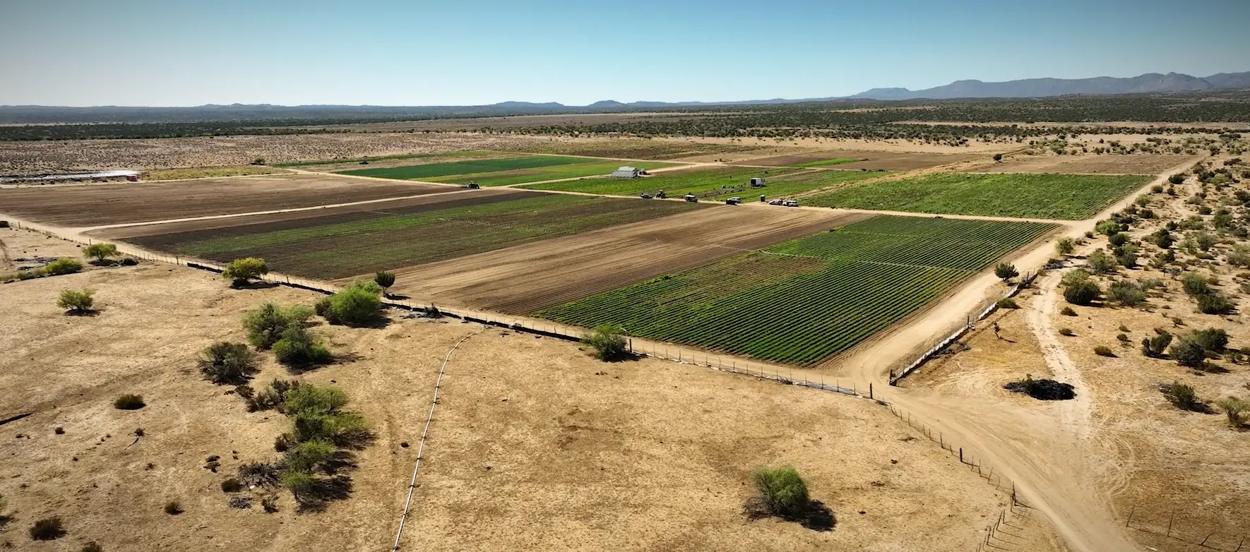 Our fields from above